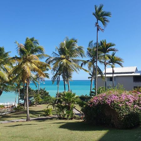Grand Studio De 41 M², Vue Mer Et Jardin Tropical. Le Gosier  Extérieur photo