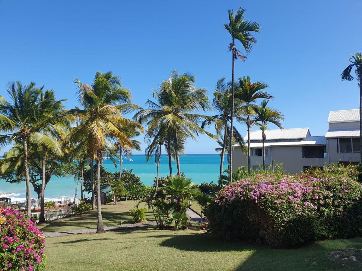 Grand Studio De 41 M², Vue Mer Et Jardin Tropical. Le Gosier  Extérieur photo