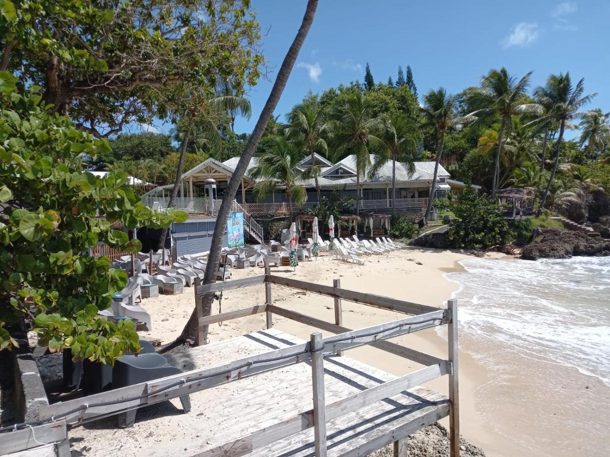 Grand Studio De 41 M², Vue Mer Et Jardin Tropical. Le Gosier  Extérieur photo
