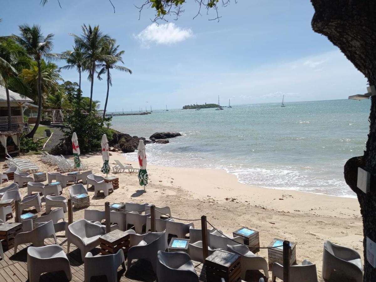 Grand Studio De 41 M², Vue Mer Et Jardin Tropical. Le Gosier  Extérieur photo