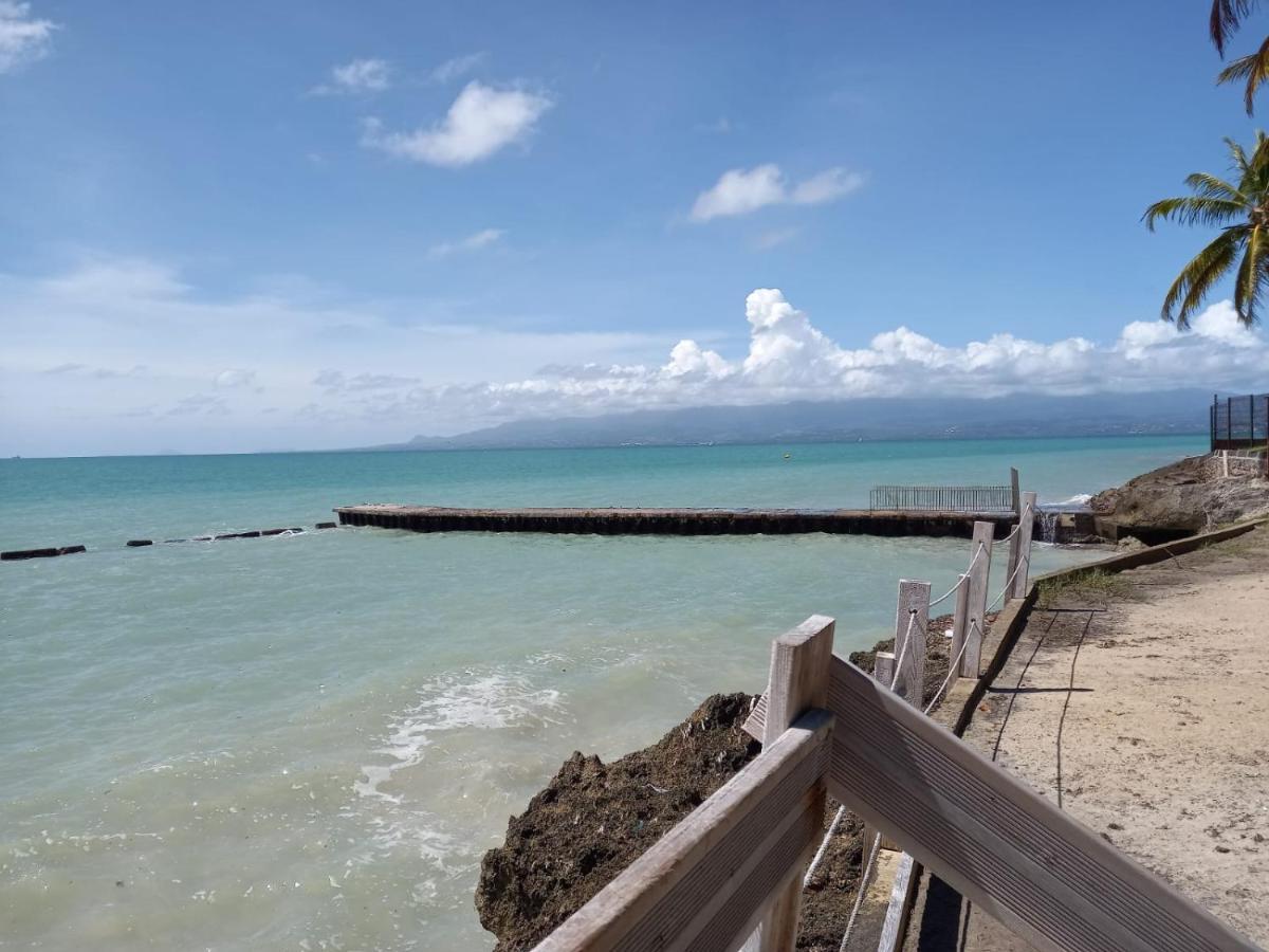 Grand Studio De 41 M², Vue Mer Et Jardin Tropical. Le Gosier  Extérieur photo