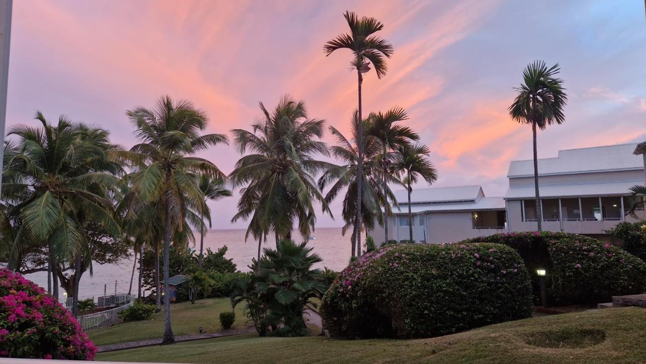 Grand Studio De 41 M², Vue Mer Et Jardin Tropical. Le Gosier  Extérieur photo
